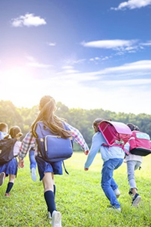 Découverte pédagogique du Patrimoine Provincial